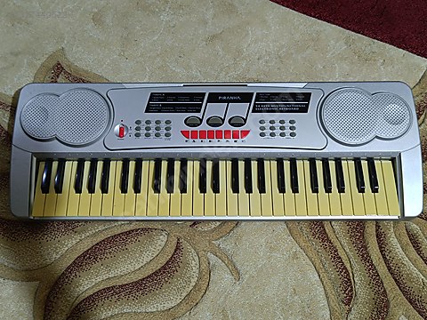 Syugaページ Piranha Acoustica X Type 54 Tuşlu Org - Org ve Tuşlu Çalgılar
