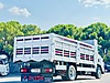 Vasıta / Ticari Araçlar / Kamyon & Kamyonet / Isuzu / NPR / 10 Long