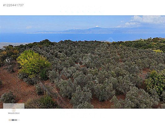 İBRAHİM ÖZLÜ DEN TRİLYE FULL MANZARALI FIRSAT YATIRIMLIK ARAZİ #1220441737