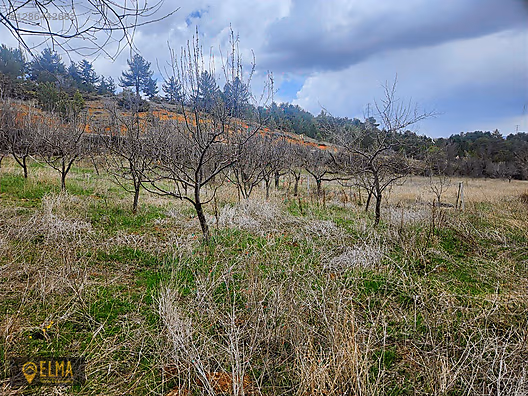 DERBENT TE SATILIK MEYVE BAHÇESİ DERBENT YOLUNA CEPHE SU VAR #1286442682