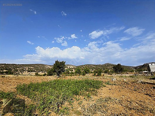 YILDIZ GAYRİMENKUL'DEN SATILIK ANA YOL YAKINI HOBBY BAHÇESİ #1262442896