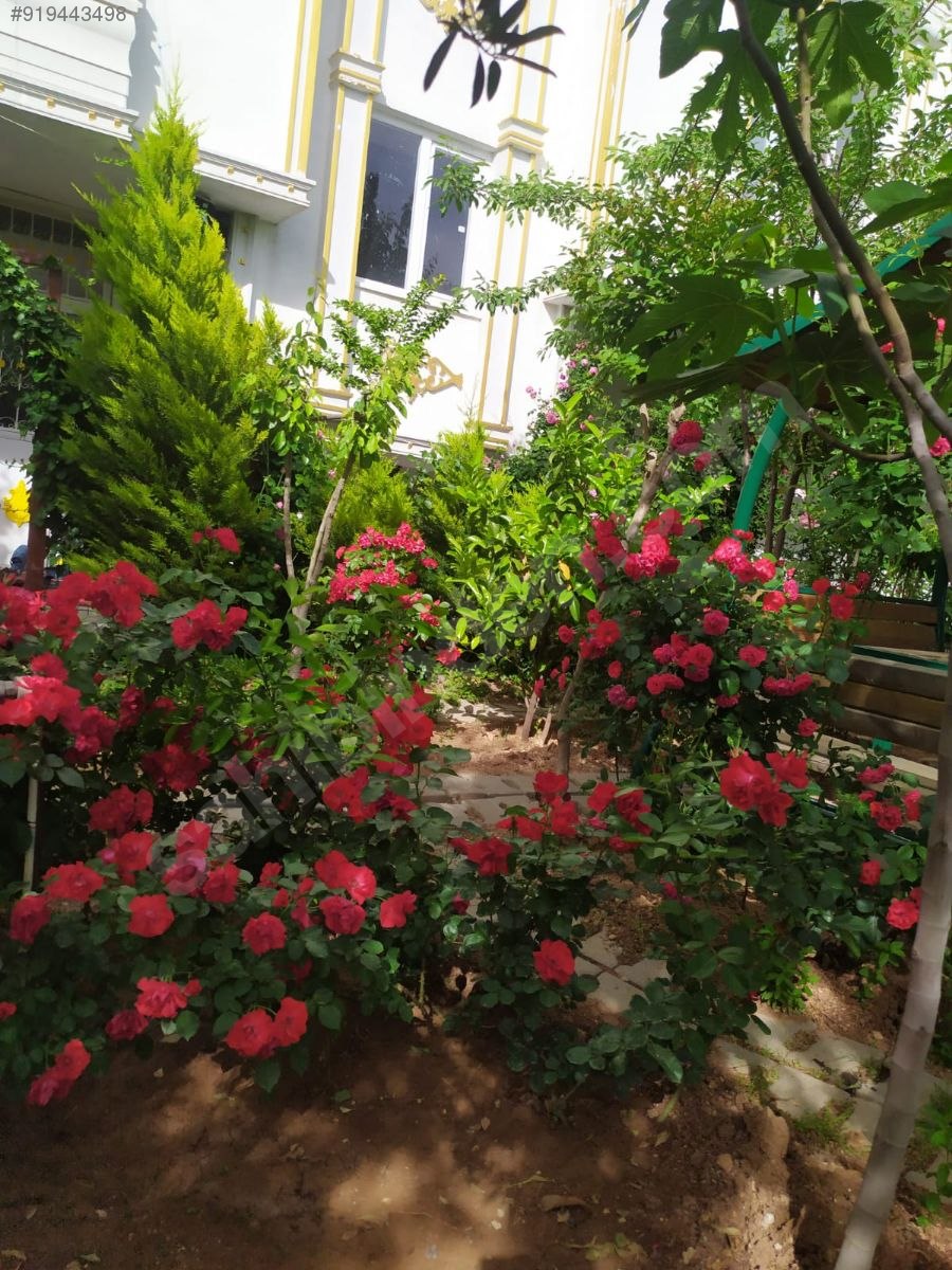 SİİRT SATILIK 4 KATLI APARTMAN (8 DAİRE) VE (2)DÜKKAN SATILIK Satılık