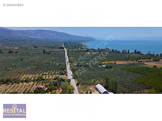 ORHANGAZİ YENİKÖY İZNİK GÖLÜNE KOMŞU ARAZİ