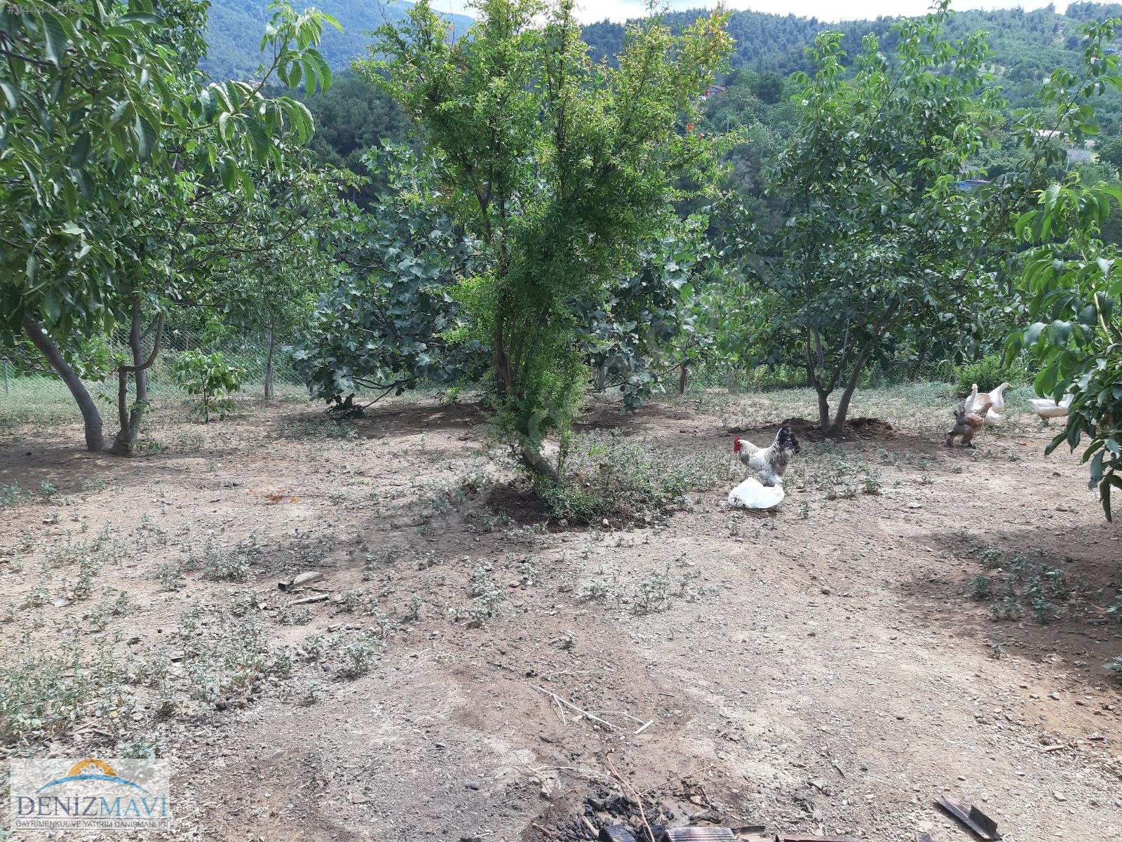 NİLÜFER GÜMÜŞTEPE�DE DOĞA MANZARALI SATLIK HOBİ EVİ VE ARAZİ at