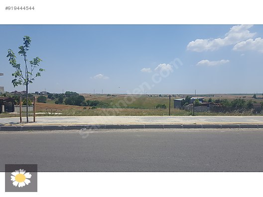 papatya gayrimenkul yatirim