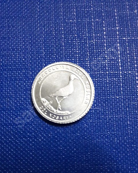 T.C HATIRA PARASI FİYATI 100 TL