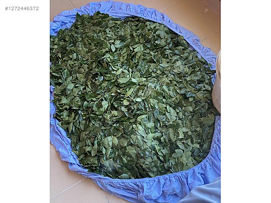 İkinci El ve Sıfır Alışveriş / Bahçe & Yapı Market / Toplu Satış