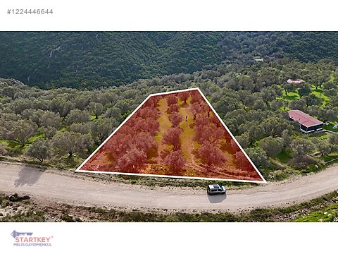 Karaburun Eğlenhoca Yol Cepheli Zeytin Ağaçlı Tarla