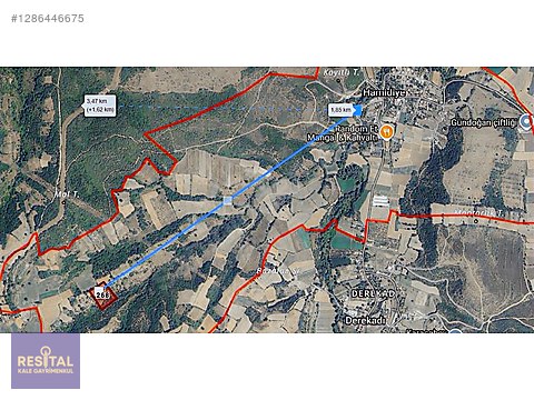BURSA M.KEMALPAŞA HAMİDİYE KÖYÜNDE FIRSAT SATILIK TARLA