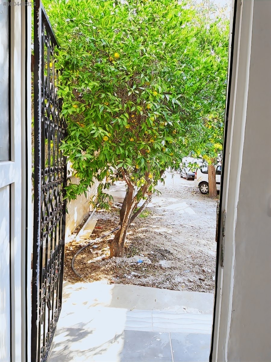 Bodrum merkez de 1+1 kiralık daire Günlük Kiralık Daire İlanları