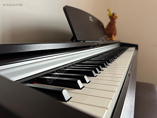 Yamaha Arius Ydp-135 - Piyano ve Tuşlu Çalgılar sahibinden.com'da