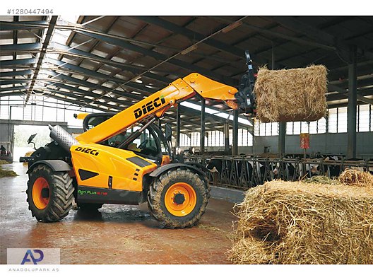 Machinery / Industrial / Carrying & Stacking Equipment / Forklifts / For Sale / Dieci