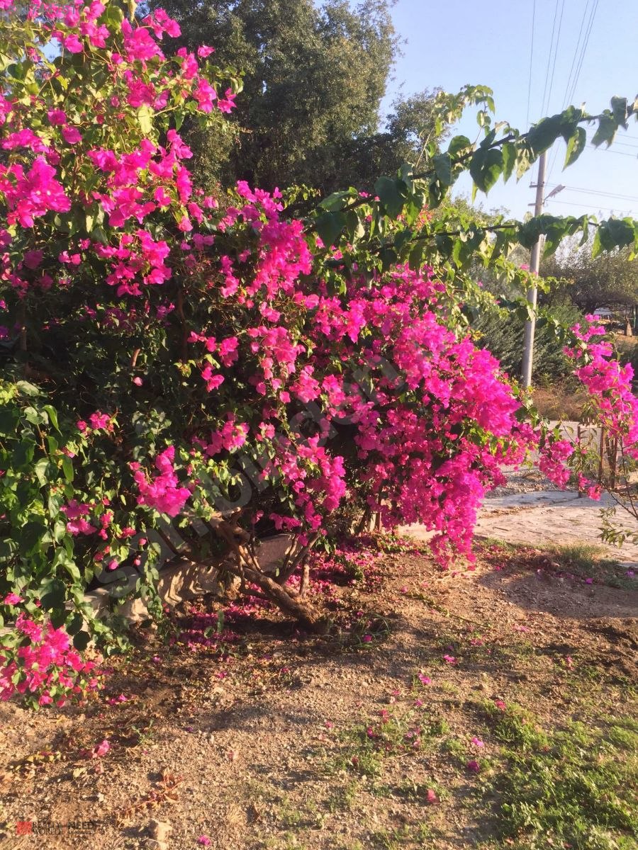 MANAVGAT TA DENİZ MANZARALI SATILIK MUSTAKİL EV Satılık Müstakil Ev
