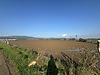 TORBALI ARSLANLAR'DA 27.210M2 SATILIK TARLA