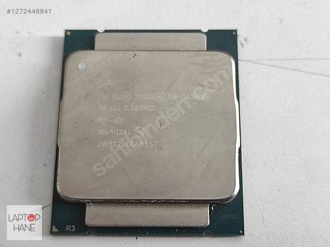 12724488412lg.jpg