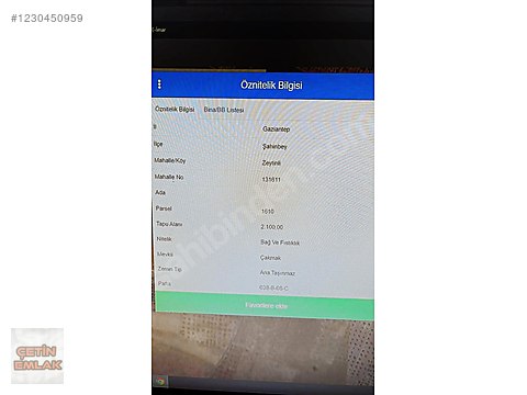 Çetin emlakdan zeytinlide yetişkin fıstıklık