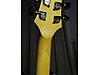 Schecter Elektro Gitar