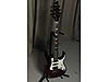 Schecter Elektro Gitar