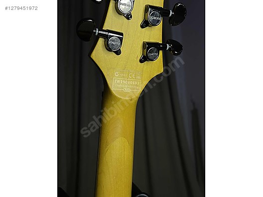 Schecter Elektro Gitar