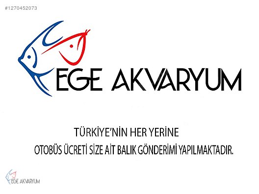 Pets & Livestock / Foods & Feeds / Beetle / Feed