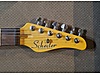 Schecter Elektro Gitar