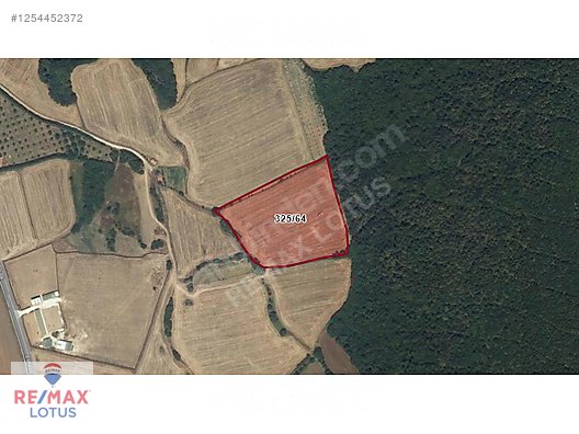 Kırklareli Vize Sergen Köyü'nde 15.141m² Satılık Tarla