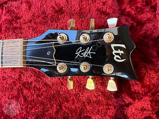 LTD Elektro Gitar