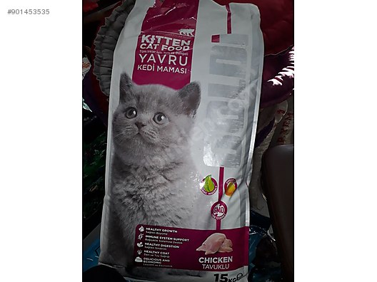 mama goldi yavru kedi mamasi 1