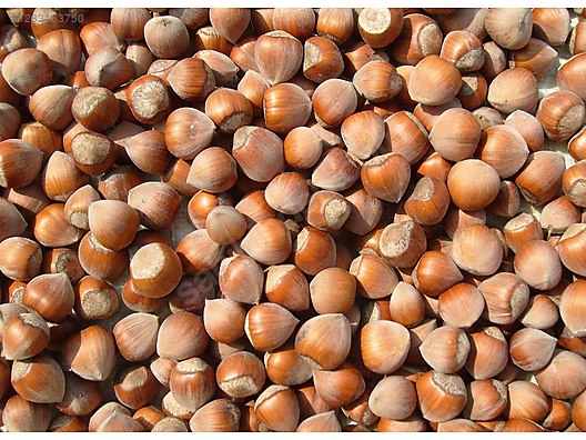 İkinci El ve Sıfır Alışveriş / Yiyecek & İçecek / Kuruyemiş