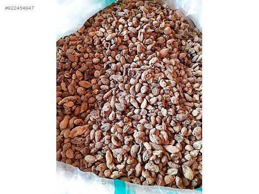 ureticiden salep tohumu bahce malzemeleri sahibinden com da 922454947 ureticiden salep tohumu bahce malzemeleri sahibinden com da 922454947