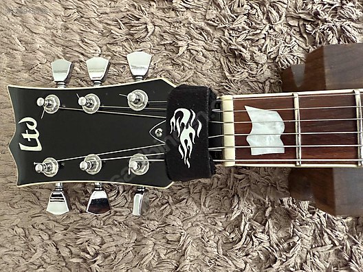 LTD Elektro Gitar