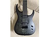 Schecter Elektro Gitar