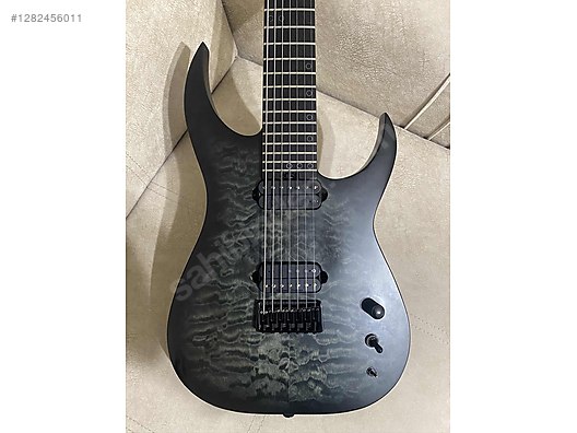 Schecter Elektro Gitar