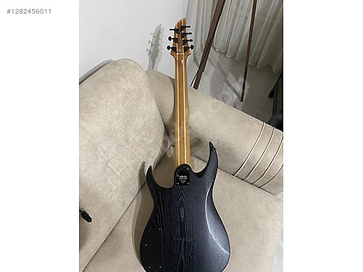 Schecter Elektro Gitar