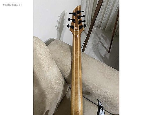 Schecter Elektro Gitar