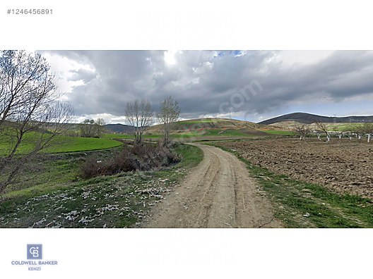 PURSAKLAR SİRKELİ YEŞİLYURT KÖŞE PARSEL #1246456891