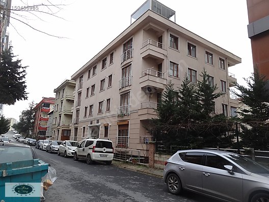erotik kızlar porno türk lezbiyen
