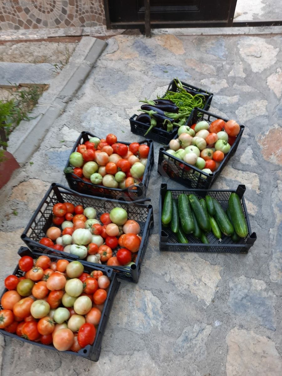 Bursa İznikte, İznik Gölüne 250 Metre Mesafede Satılık Yazlık Satılık