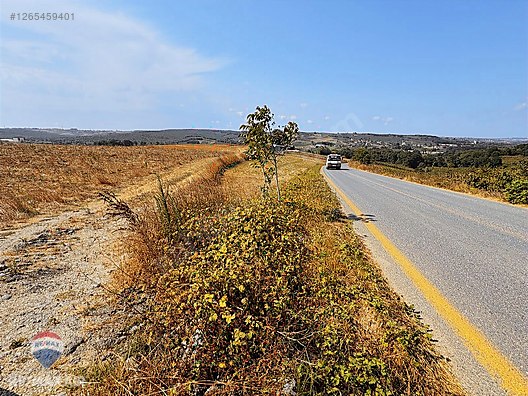 SAKARYA KAYNARCA KIZILCAALİ DE 1.720M² SATILIK