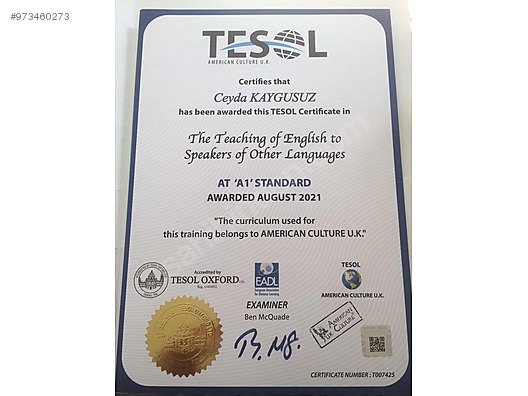 gece alan genel oturum ingilizce ozel ders kucukcekmece bilsanatolye com gece alan genel oturum ingilizce ozel ders kucukcekmece bilsanatolye com