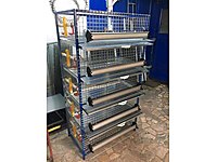 kumes hayvanlari kafes kafes kumes cesitleri ve fiyatlari sahibinden com da