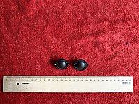 2,5 cm referans monitör ipek tweeter çift.