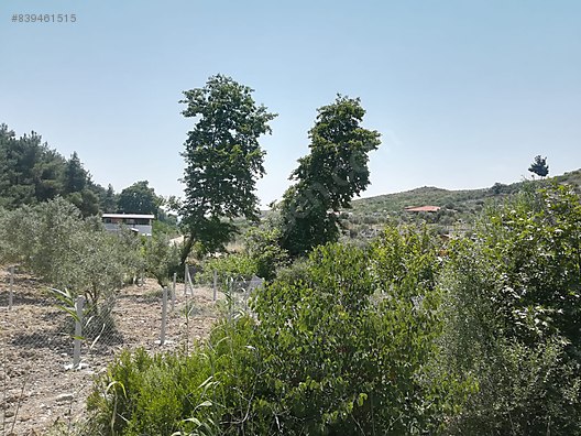 Sahibinden Bahce