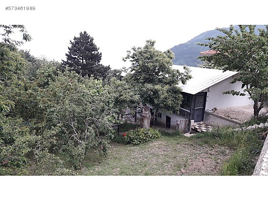 sahibinden bursa zeyniler koyunde satilik bahce satilik arsa ilanlari sahibinden com da 573461989 sahibinden bursa zeyniler koyunde satilik bahce satilik arsa ilanlari sahibinden com da 573461989