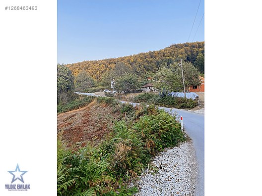 YILDIZ EMLAK'TAN YENİCE KÖYÜNDE SATILIK ARAZİ #1268463493