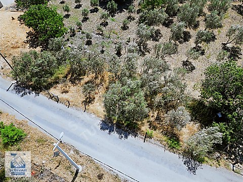 Turyap Bergama'dan 322 m2 Asfalt Üzeri Köy Civarı...