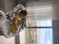 Joie - Mimzy Snackers 2 in 1 Mama sandalyesi