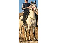 Kaliteli askar #1283464872