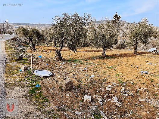 ACİLLL !!!!! TAKAS OLUR HELVACIOĞLU MAH'DE SATILIK İMARLI ARAZI #1271465797