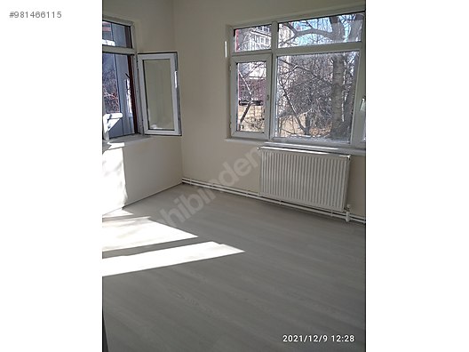 kiralik 3 1 doglgazli daire kiralik daire ilanlari sahibinden com da 981466115